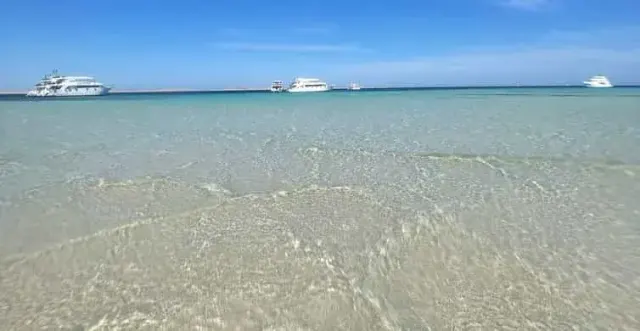 Red Sea Guide 2026 | Best Diving & Coastal Experiences in Hurghada, Sharm & Marsa Alam