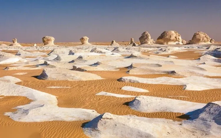 جولة الينابيع الحارة في واحة البحرية والصحراء السوداء