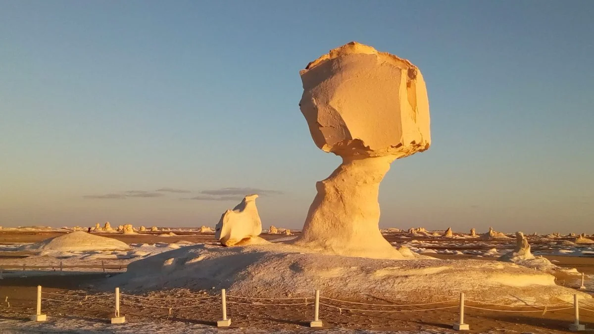 Weißer Kalkstein-Pilzfelsen im Nachmittagslicht der Weißen Wüste, Höhepunkt des Tagesausflugs von Kairo nach Bahariya