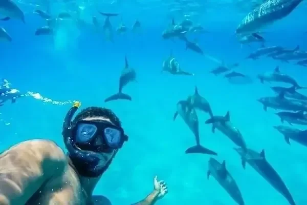 Snorkelaar maakt een onderwaterselfie, omringd door een grote school dolfijnen