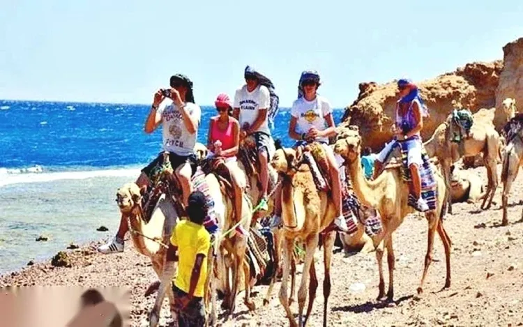 رحلة يوم كامل للغطس السطحي في الفتحة الزرقاء والوادي الملون