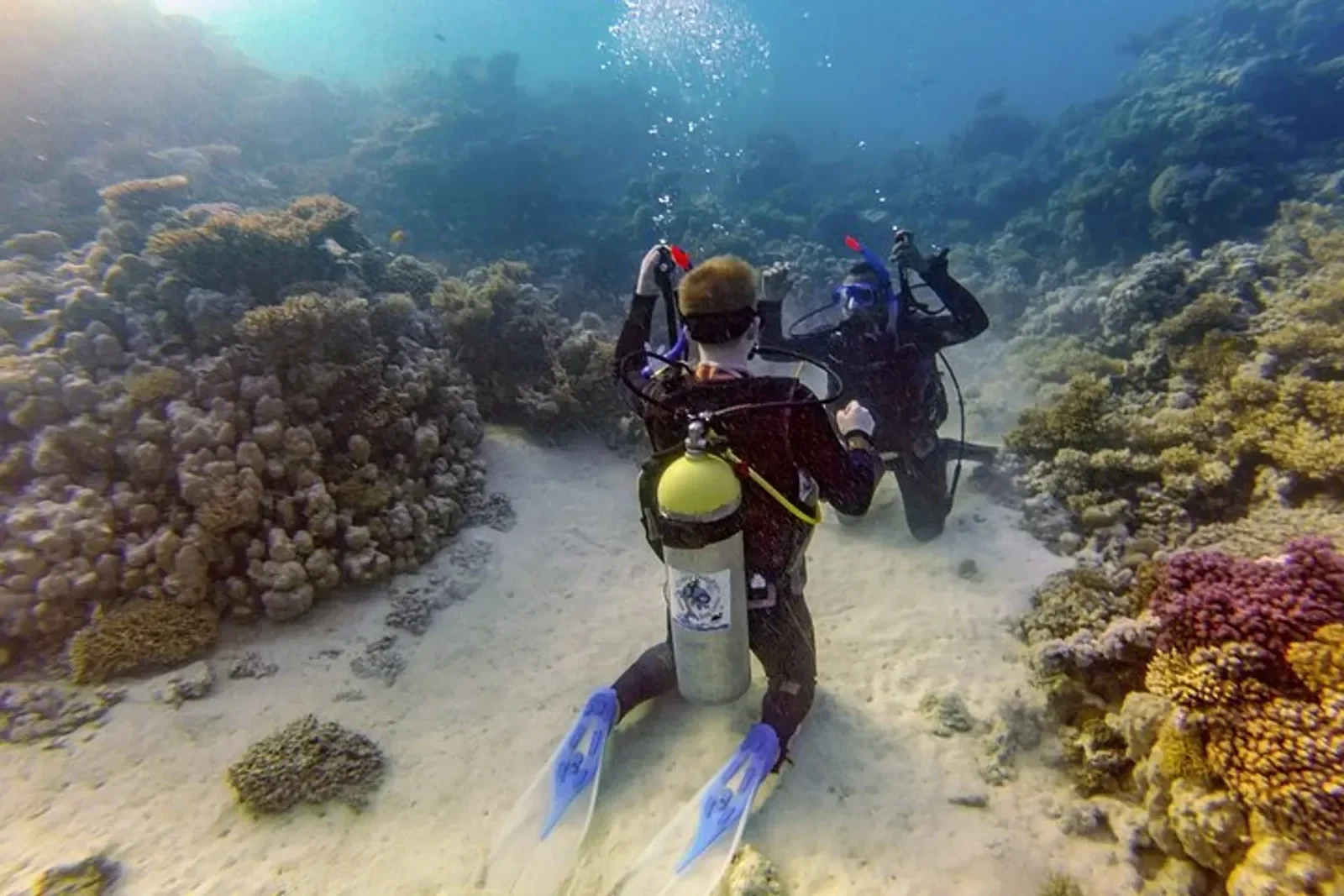 Two scuba divers kneel on a sandy seabed between coral formations, one with an air tank on his back, adjusting equipment.
