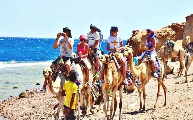 صف من السياح يركب الجمال على طول ساحل البحر الأحمر الصخري بقيادة مرشد محلي