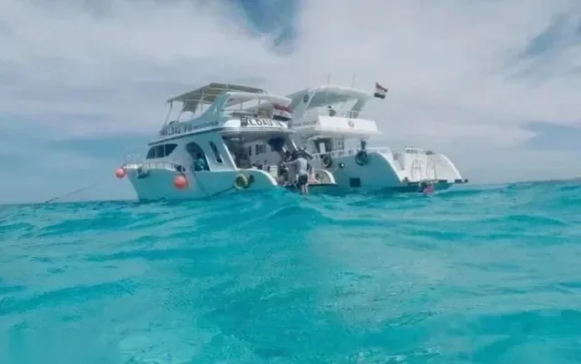 Dolphin Reef Snorkeling Túra