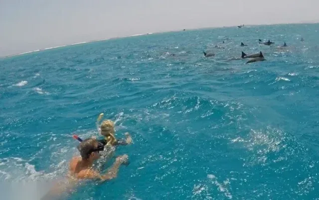 Delfines Snorkeling Kirándulás