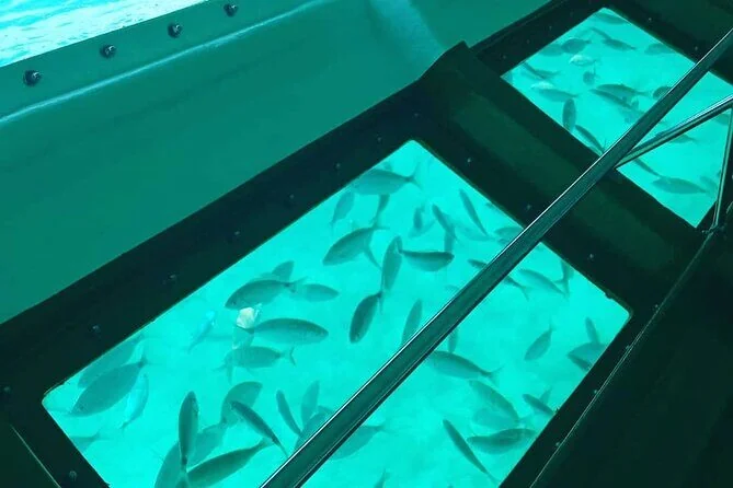 Vue à travers le plancher de verre du bateau sur un banc de poissons nageant au-dessus d'un fond de sable clair