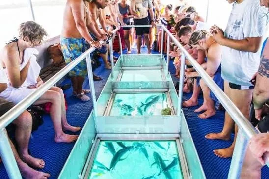 Sortie en Bateau à Fond de Verre en Famille - photo 5