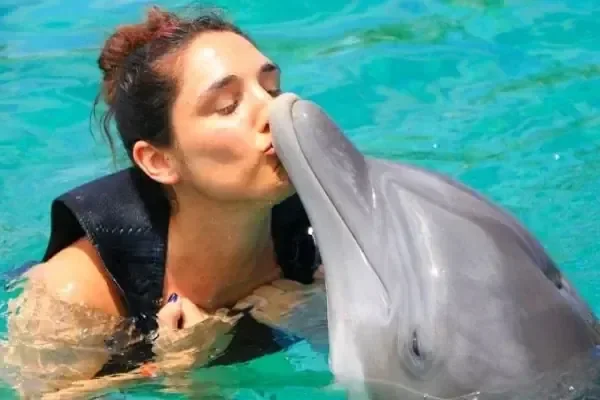 السباحة العائلية مع الدلافين - صورة 4