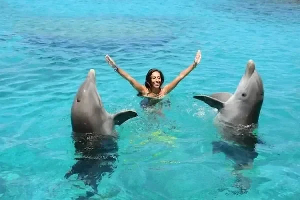 السباحة العائلية مع الدلافين - صورة 5