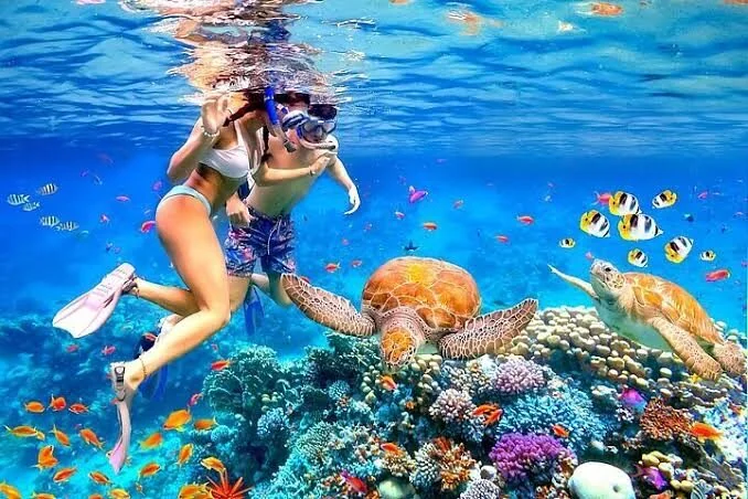 Pár snorkelez egy korallzátony felett, két tengeri teknős és rifhalak úsznak el mellettük