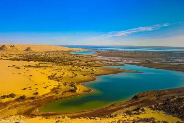 Fayoum Oasis Guide 2026: Wadi El Rayan, Magic Lake & Best Day Trips from Cairo (Reviews)