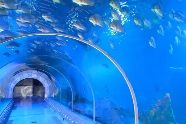 A group of tourists pose and wave inside an aquarium tunnel with a shark and stingray visible