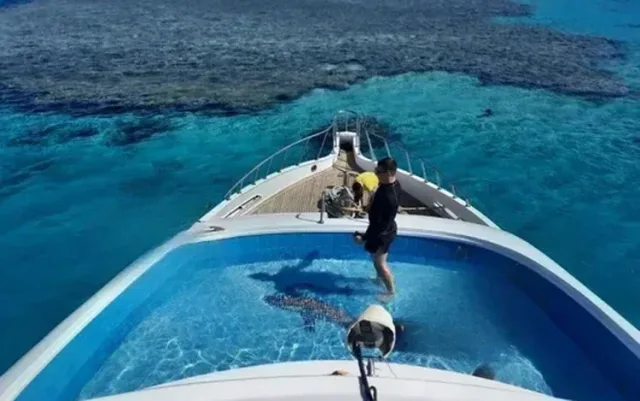 Hurghada Mirage Private Boat with Pool & Snorkeling