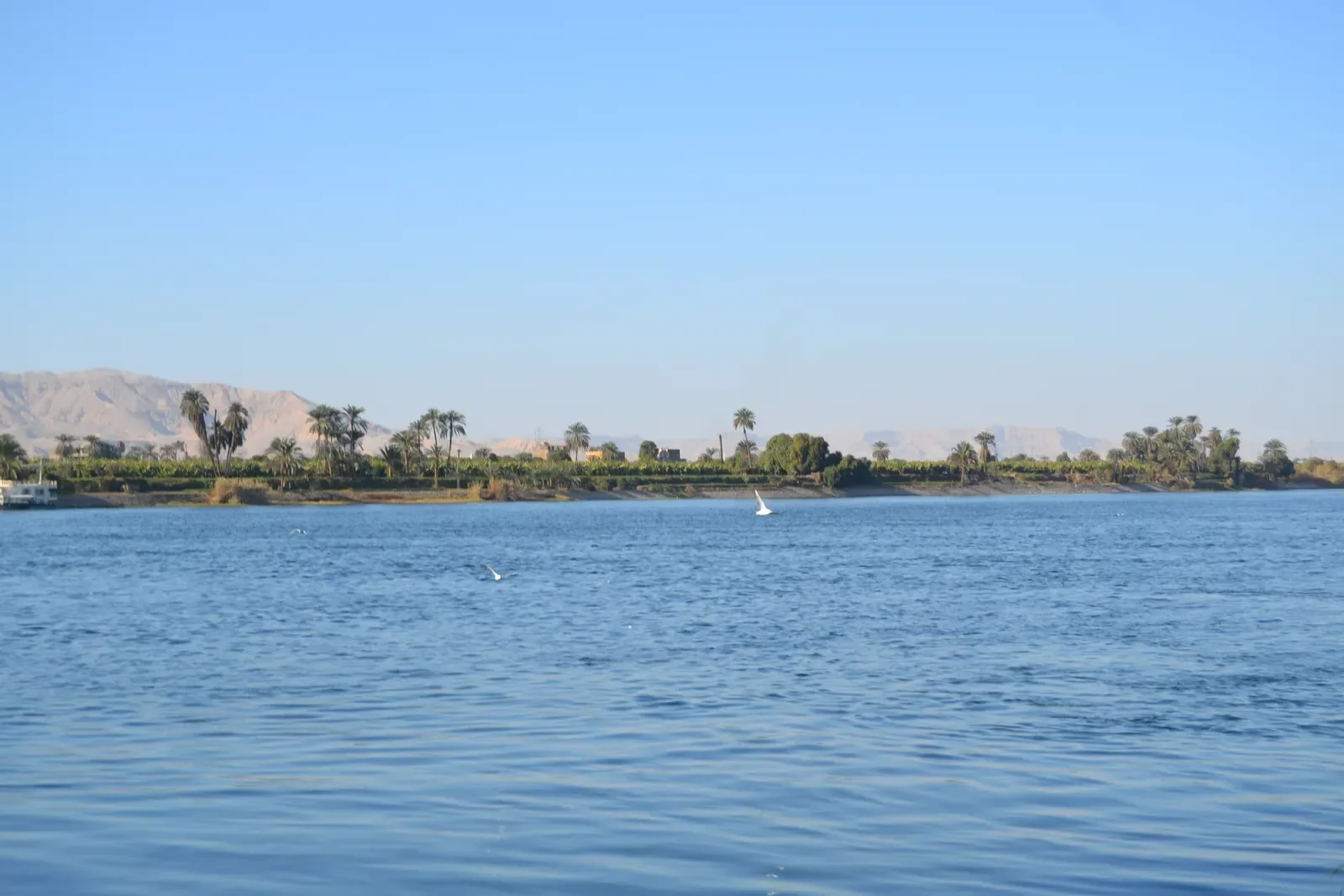 A single white-sailed felucca sails on open Nile water, with a palm-lined shore and desert hills in the distance.
