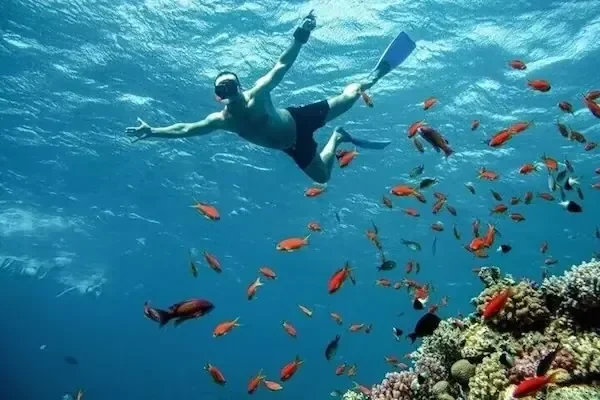 رحلة بحرية فاخرة إلى جزيرة عدن - صورة 5