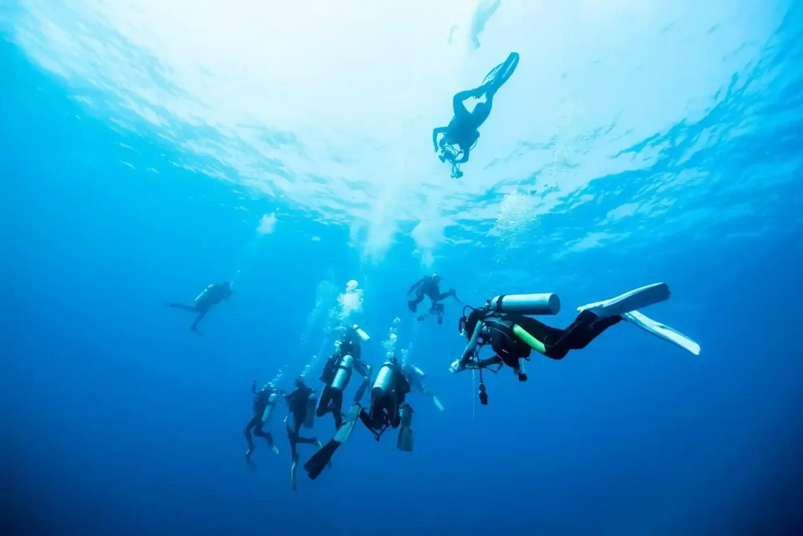 PADI Open Water Diver - foto 4