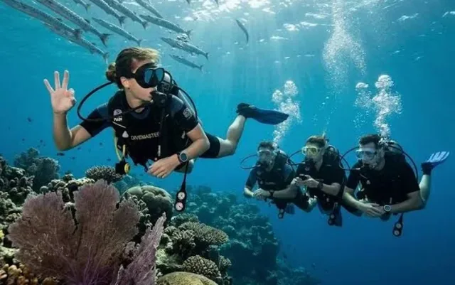 PADI Dive Master