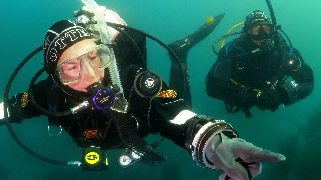 PADI Dry Suit Diver - صورة 4