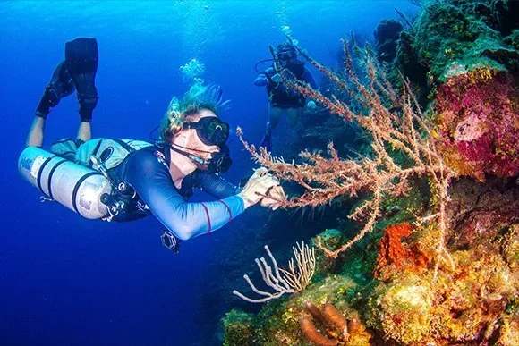 PADI Side Mount Diver - 5. fotó