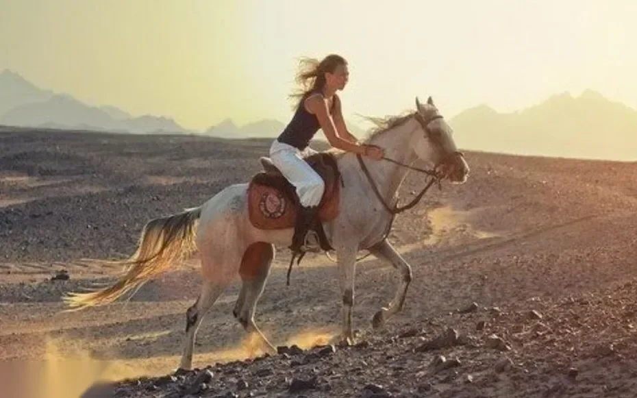 Woman riding a galloping white horse across rocky desert terrain at sunset.