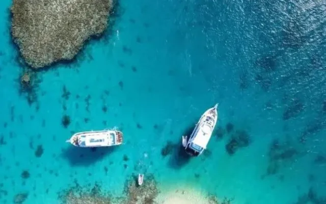 Private Elphinstone Reef Boat Charter