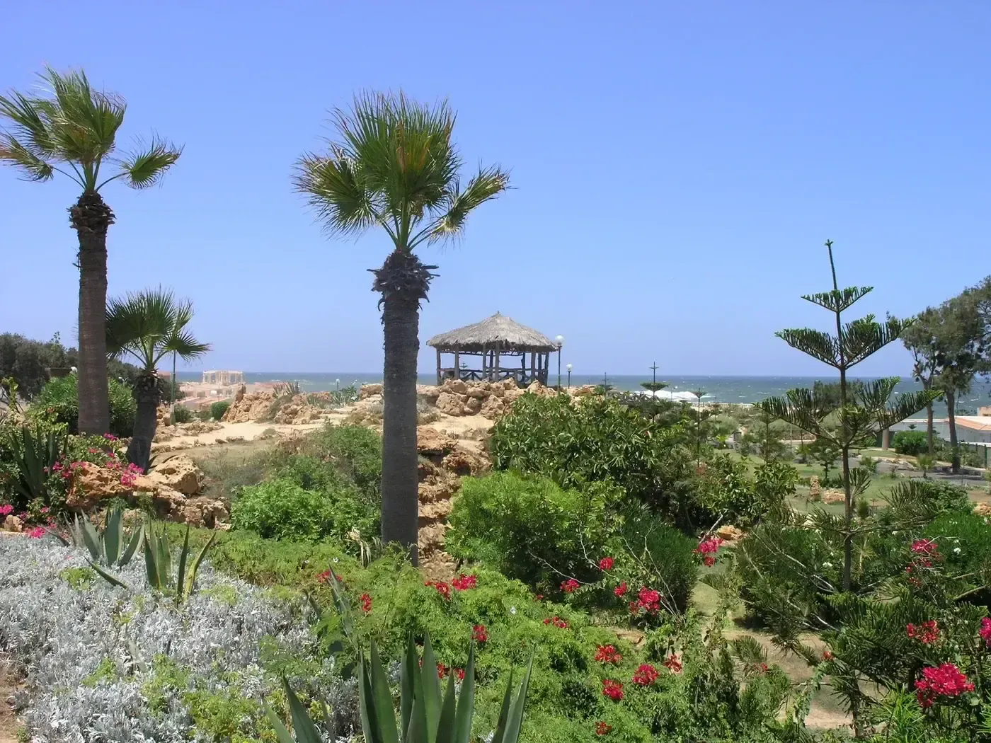 Palm trees and flowering shrubs frame a thatched-roof gazebo overlooking the Mediterranean Sea at Montaza Park.