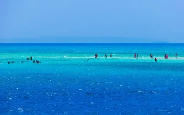 Sharm El Sheikh Diving Guide 2026: Top 10 Dive Sites, Ras Mohammed & Blue Hole (5-Star Reviews)