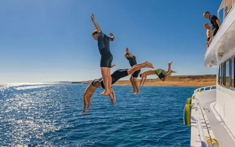Vier Personen in Neoprenanzügen springen vom Heck einer Yacht ins Meer, dahinter eine bergige Küste