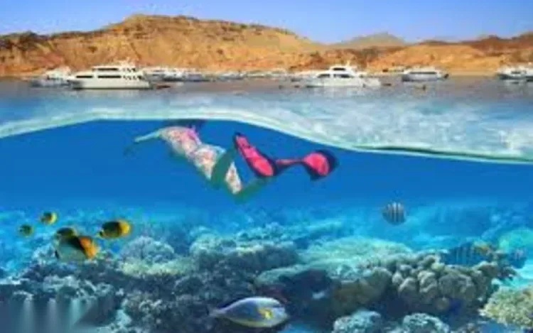 صورة مقسومة فوق الماء وتحته لغطاس يسبح فوق شعاب مرجانية، مع قوارب غوص راسية على السطح في الأعلى