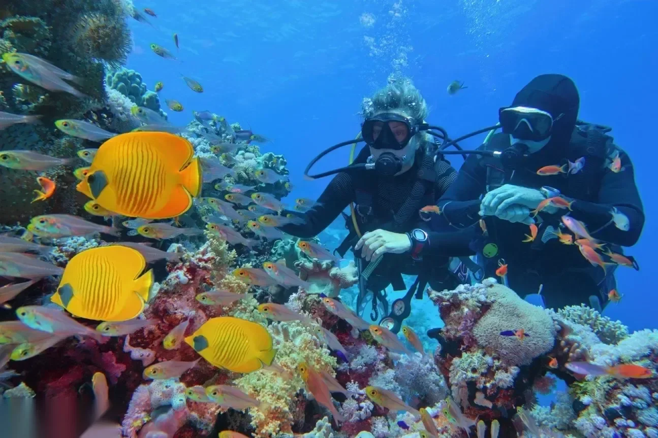 Deux plongeurs en suspension près d'un récif corallien grouillant de poissons-papillons jaune vif et d'anthias orange