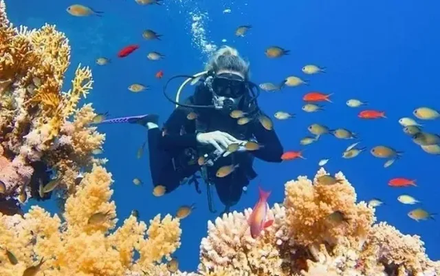 SDI Open Water Diver