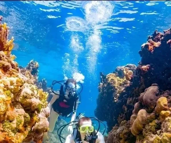 两名潜水员在狭窄的珊瑚峡谷中面对面相视，气泡在他们之间上升