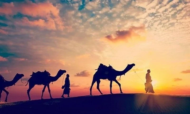 ظلال مرشد بدوي يقود الجمال على حافة كثيب على خلفية سماء غروب زاهية