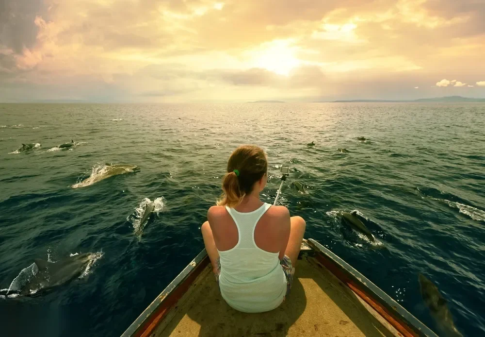 Femme assise à la proue d'un bateau prenant un selfie entourée de dauphins nageant à la surface