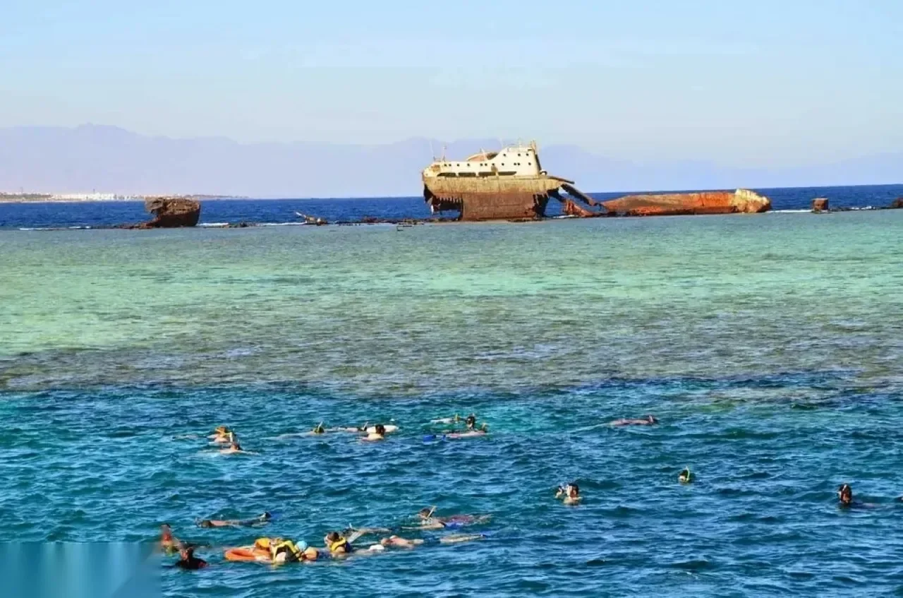 Snorkelers nageant près d'un récif, coque rouillée et brisée d'une épave visible à l'horizon