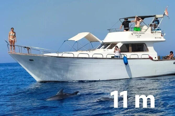 Yacht Yosr Al Bahar mit Passagieren an Deck, zwei Delfine schwimmen vor dem Bug, eingeblendete Grafik 11 m