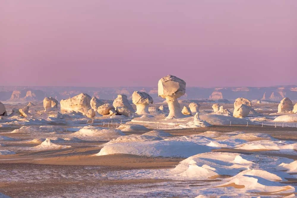 Pilzförmige weiße Kalkformationen unter rosa Morgenhimmel im Nationalpark Weiße Wüste