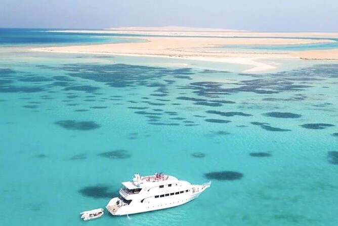 Sortie en Bateau Privé vers White Island - photo 7